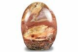 Free-Standing, Polished Petrified Wood - Madagascar #246133-1